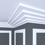 Primed Poplar 1261 Crown 4'