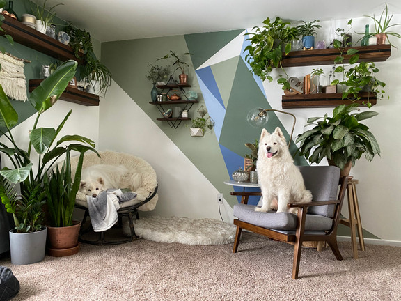 Creating a Home: Urban Jungle Living Room Makeover