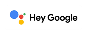 works with Hey Google