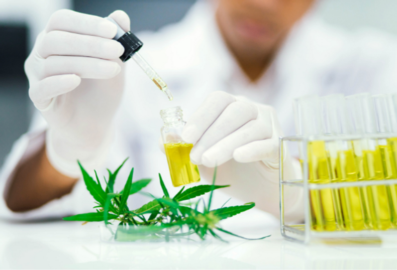 Is Hemp-Derived THC Fake or Synthetic? Debunking the Myths and Misinformation