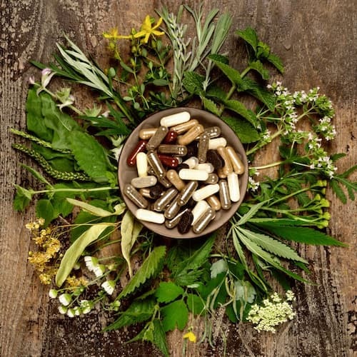 Herbal supplements and nootropics — Detroit Lakes MN