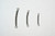 Fish-Field Tornado Chain Swivels - Case Pack Only!