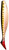 Fish-Field Thumper Tail Swimbait 9'' MOQ - 24pc