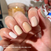 DND Biscuits N’ Honey DIVA #052