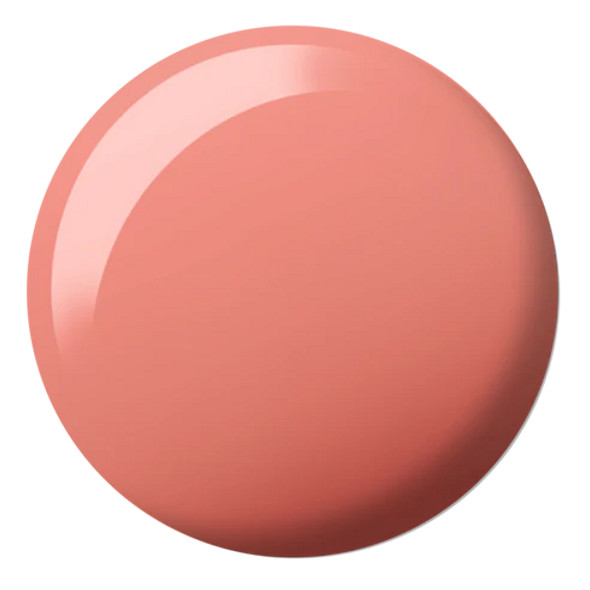 DND Dramatic Persimmon DIVA #169 DND Dramatic Persimmon DIVA #169