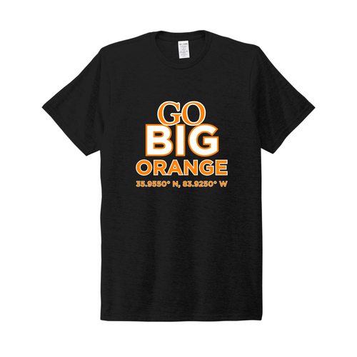 Go Big Orange Univ of TN Stadium Coordinates tee - black