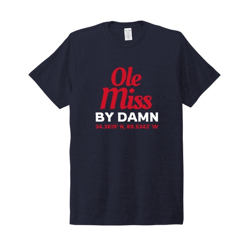 Ole Miss By Damn Stadium Coordinates tee - navy