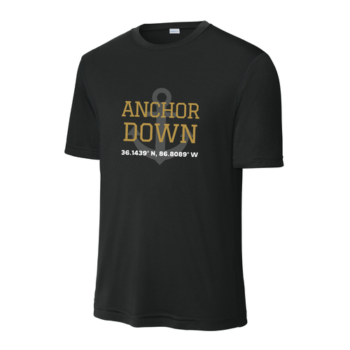 Anchor Down (Vanderbilt University) Stadium Coordinates performance tee - black