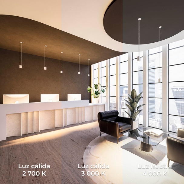 The Collection TL-2804.SUS Luminario RASTER Para Suspender En Techo 4 W