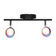 Dekor Lámpara de Techo Negro Mate 2X35 W Max 120 Volts, GU10 Atenuables TR-2406