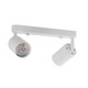 Illux Lámpara Soona S De Sobreponer En Techo 2X50 W Max 120 V TL-5152.CAN