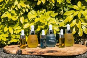 What are Free Radicals?
