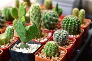 A Quick K-Beauty Skin Routine to Survive the Heat