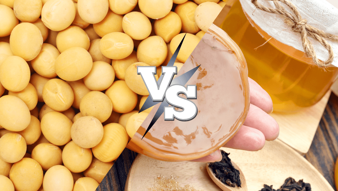 Bean Essence vs. Kombucha: The Ultimate Anti-Aging and Firming Showdown