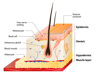 What Happens When You Over-Exfoliate?