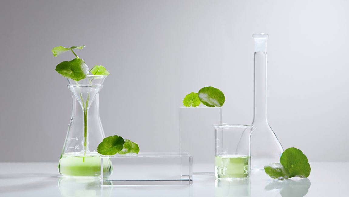 Centella vs Heartleaf: Which K-Beauty Ingredient Is Right for Your Skin?