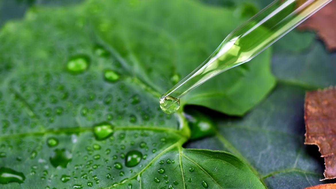 Conscious Living: Simple Steps for an Eco-Friendly Skincare Routine