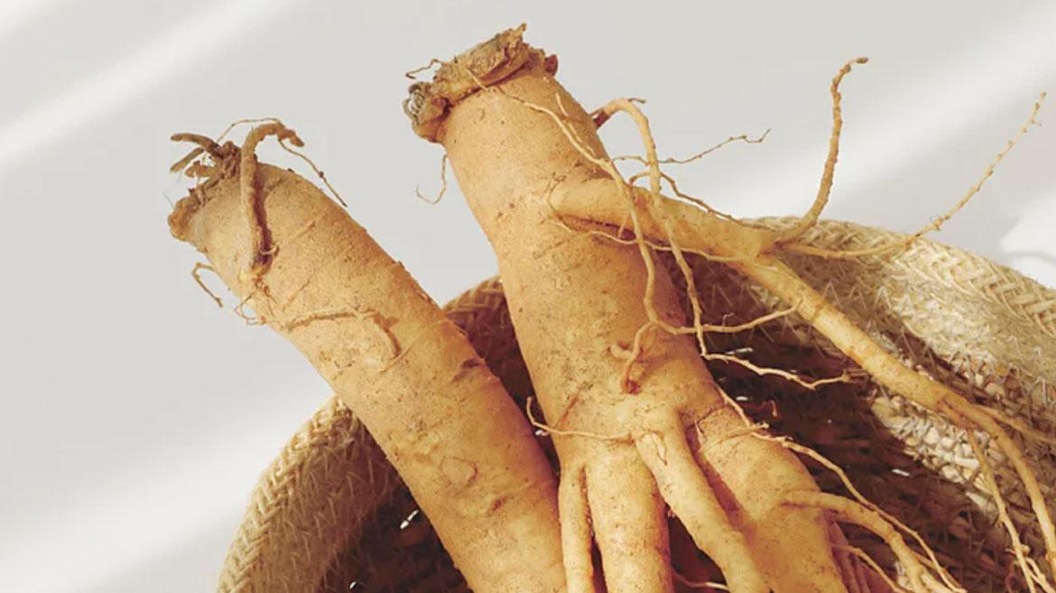 Why Ginseng Belongs in Your Skin Routine