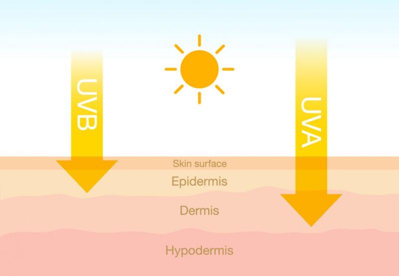 Why Should You Apply Sun Cream Every Day?