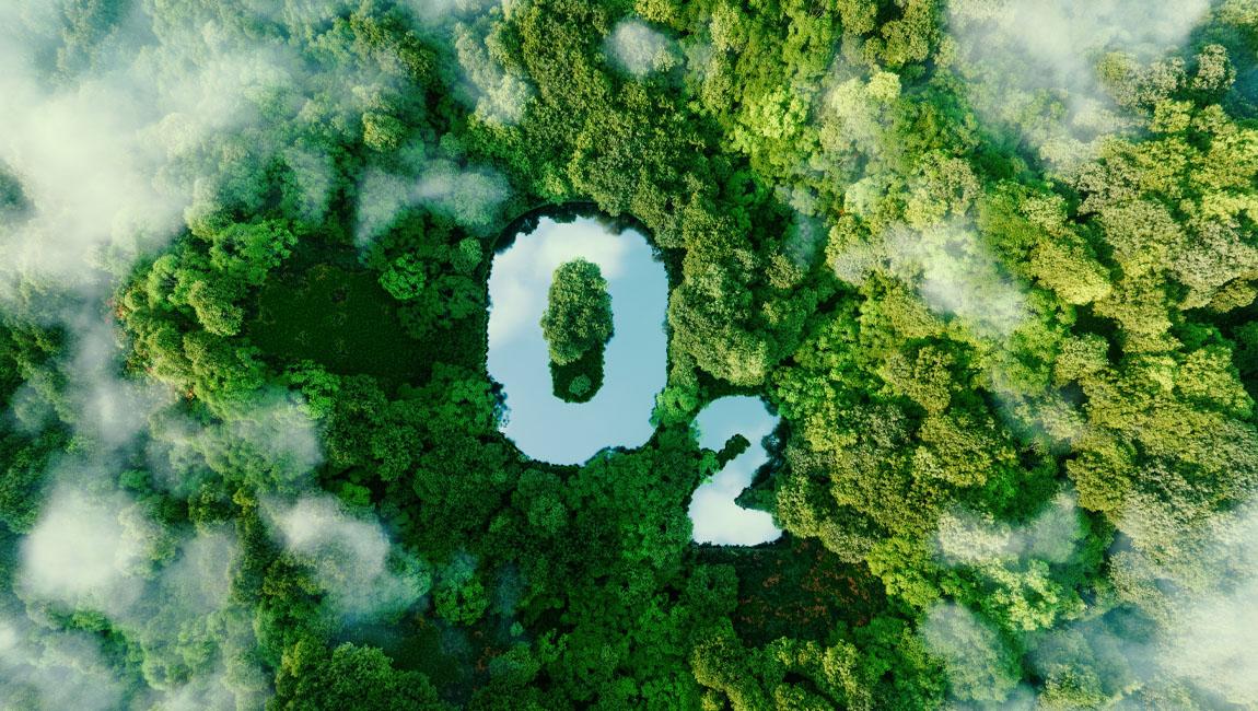 Zero Emissions Day: Skinsider's Commitment to a Greener Planet