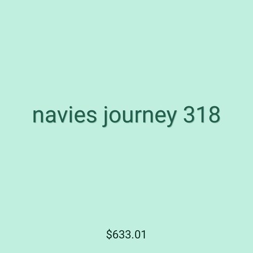 navies journey 318