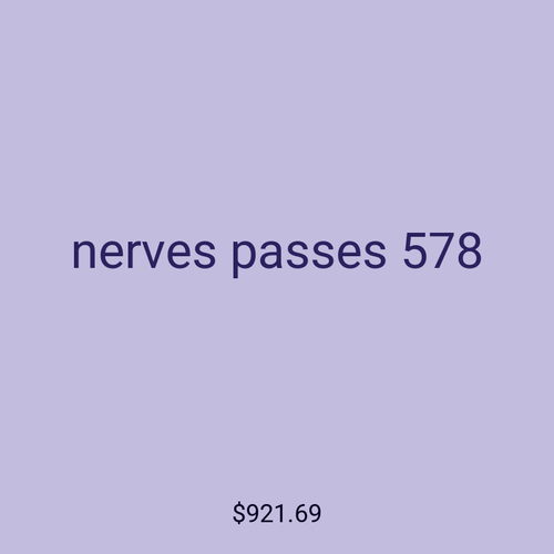 nerves passes 578