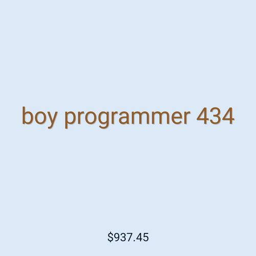 boy programmer 434