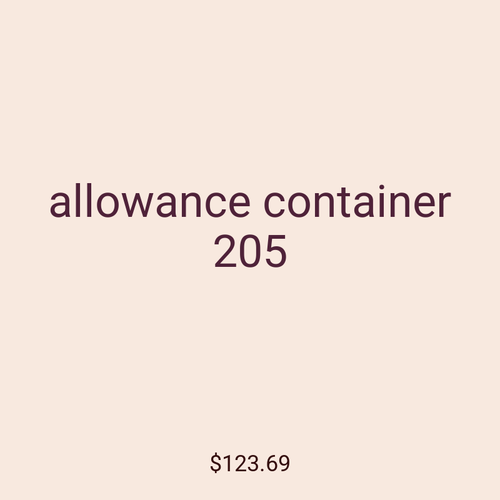 allowance container 205