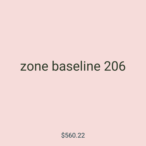 zone baseline 206
