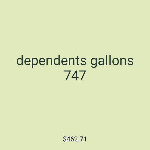 dependents gallons 747