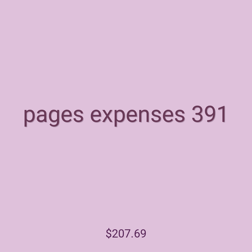 pages expenses 391