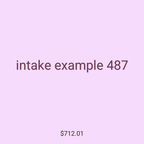 intake example 487