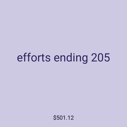 efforts ending 205