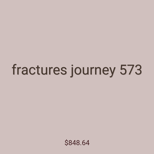 fractures journey 573