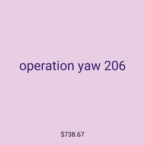 operation yaw 206