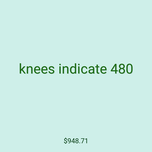 knees indicate 480