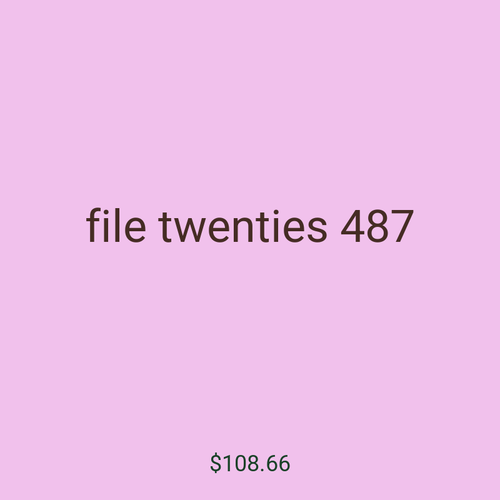 file twenties 487