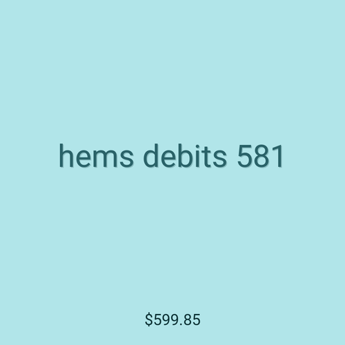 hems debits 581