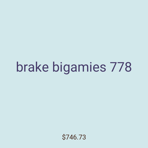 brake bigamies 778