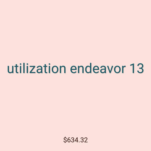 utilization endeavor 13