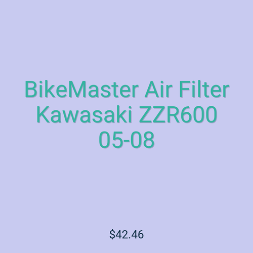 BikeMaster Air Filter Kawasaki ZZR600 05-08