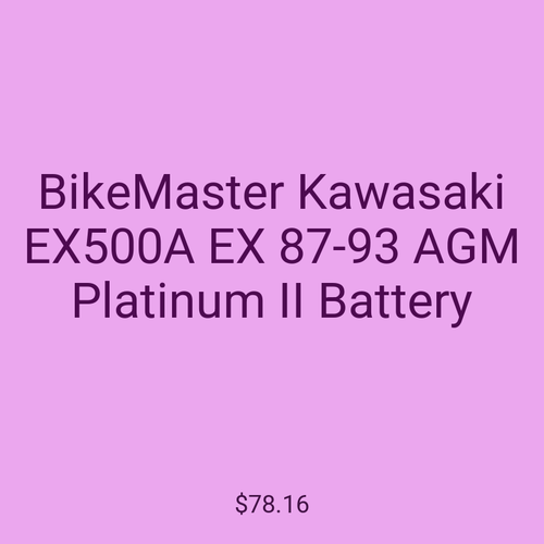 BikeMaster Kawasaki EX500A EX 87-93 AGM Platinum II Battery