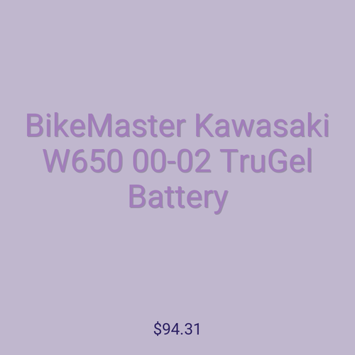 BikeMaster Kawasaki W650 00-02 TruGel Battery