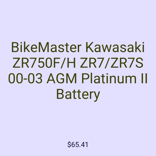 BikeMaster Kawasaki ZR750F/H ZR7/ZR7S 00-03 AGM Platinum II Battery