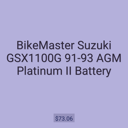 BikeMaster Suzuki GSX1100G 91-93 AGM Platinum II Battery