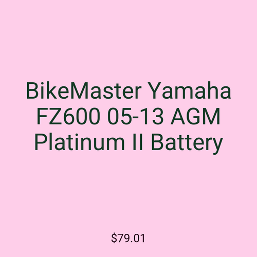 BikeMaster Yamaha FZ600 05-13 AGM Platinum II Battery