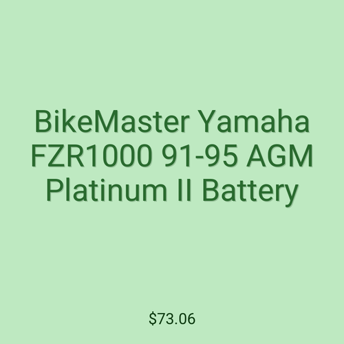 BikeMaster Yamaha FZR1000 91-95 AGM Platinum II Battery