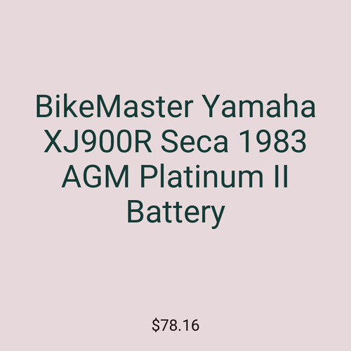 BikeMaster Yamaha XJ900R Seca 1983 AGM Platinum II Battery