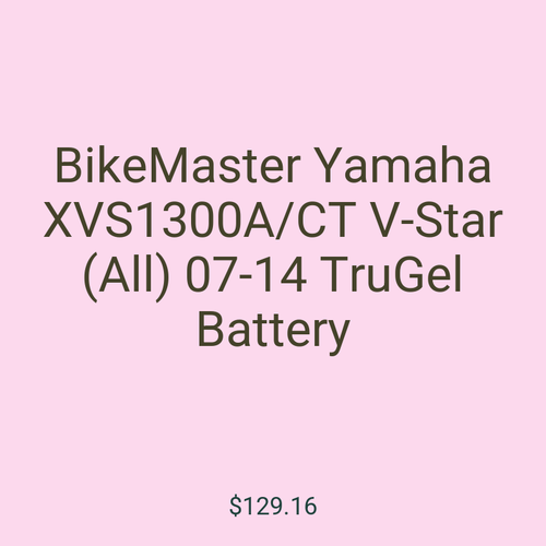 BikeMaster Yamaha XVS1300A/CT V-Star (All) 07-14 TruGel Battery