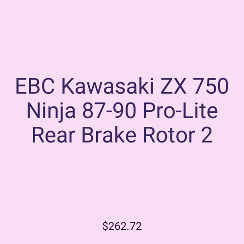 EBC Kawasaki ZX 750 Ninja 87-90 Pro-Lite Rear Brake Rotor 2